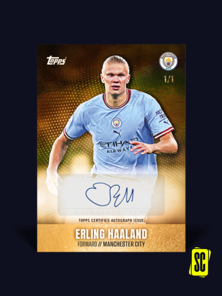 Haaland-Auto-1of1