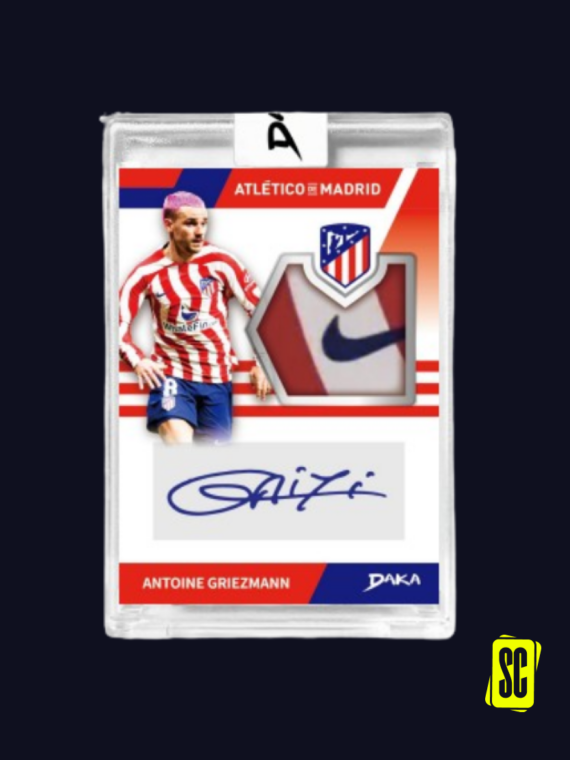 Immagini Galleria - 20