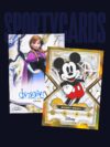 DisneyVault3